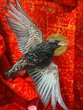 Original Oil Painting "Starling" by Christian Perez